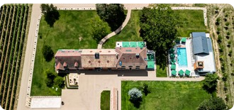 Seminar in Burgundy, Discovering the vineyard